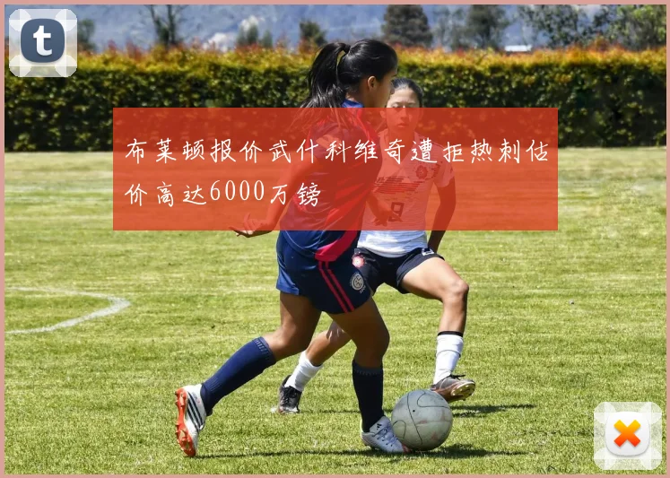 布莱顿报价武什科维奇遭拒热刺估价高达6000万镑
